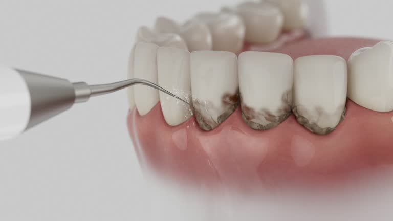 Reliable Dental contractor in Larose, LA by Dentist Open Now